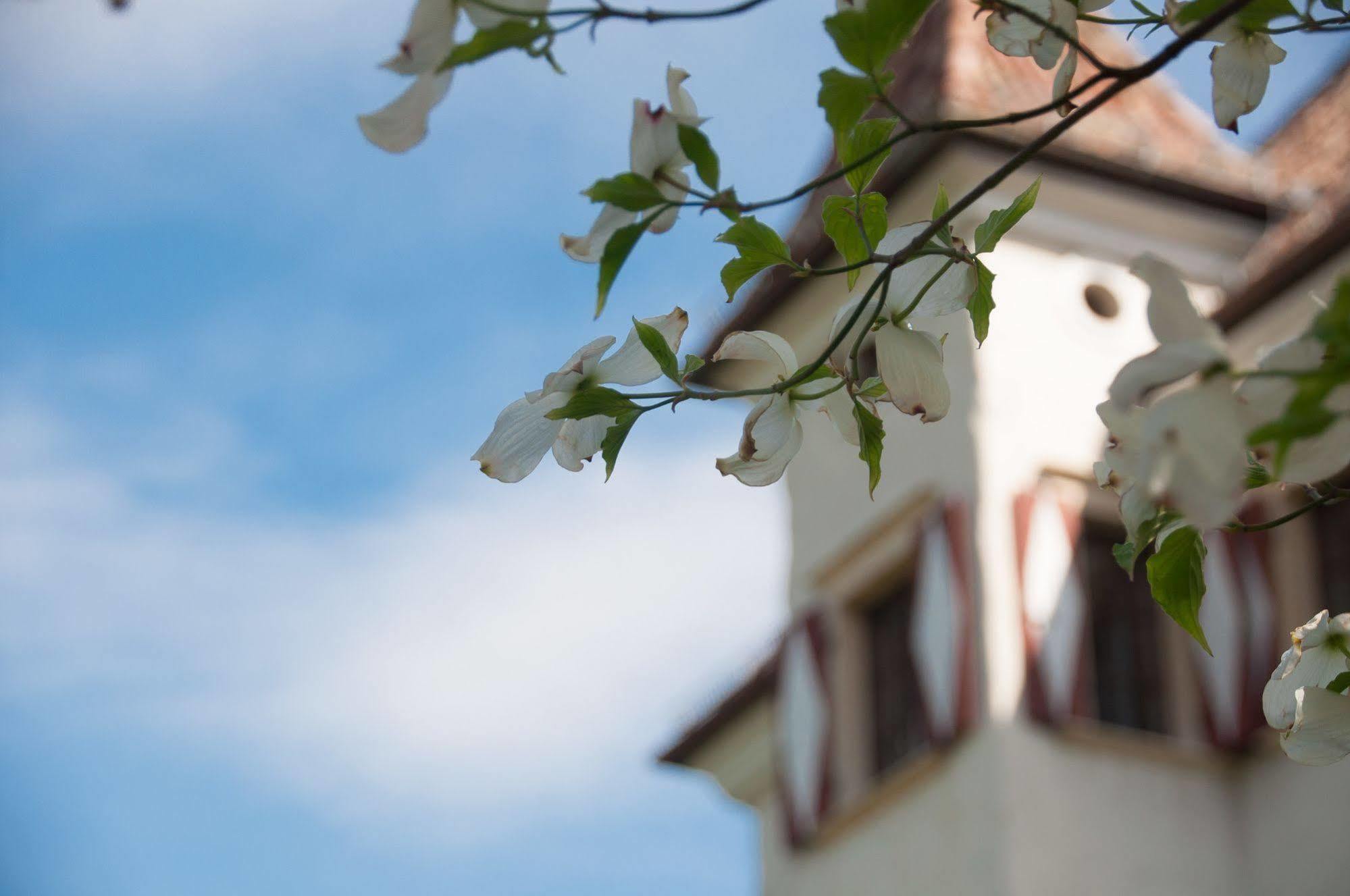 Hotel Castel Rundegg (adults Only) Merano